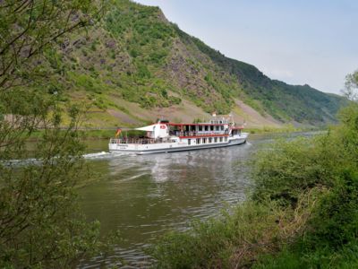 Mosel Panoramafahrt Cochem nach Beilstein